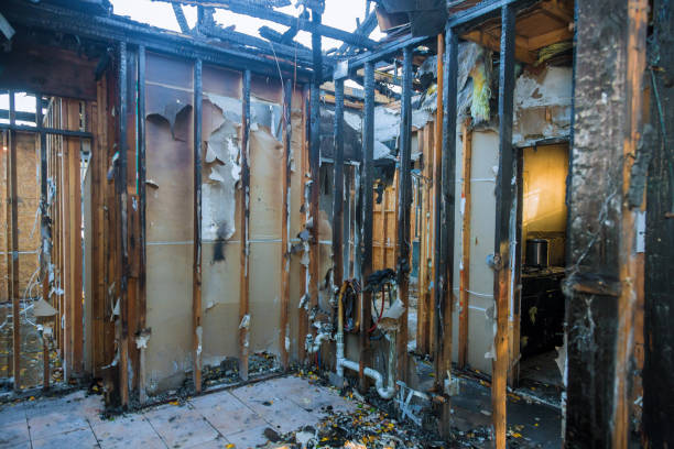 Professional Fire Damage Assessment technician working in Belding, MI